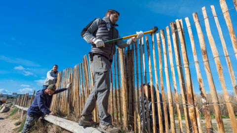 Photo des travaux de restructuration des dunes de la plage de la base nature