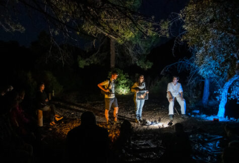 Promenade nocturne commentée à la découverte des chauves-souris