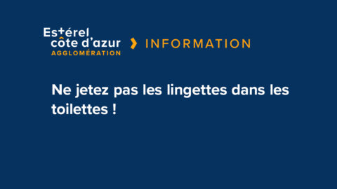 Ne jetez pas les lingettes dans les toilettes