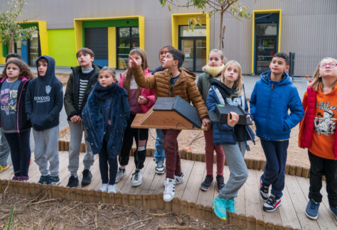 Projet scolaire de sensibilisation aux Chauves-Souris