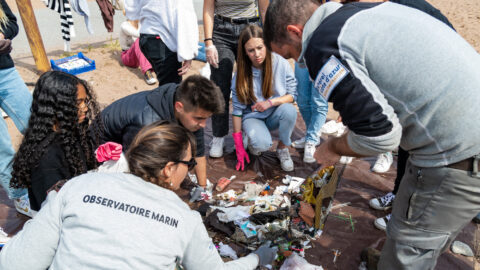 Personnes ramassant des déchets sur une plage