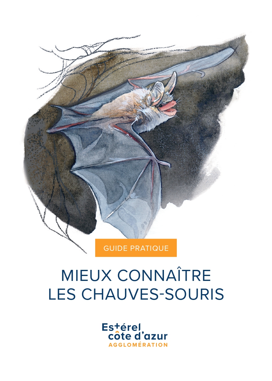 Livret Chauves-souris-2025-web_page-0001