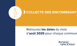 Août : dates de collecte des encombrants