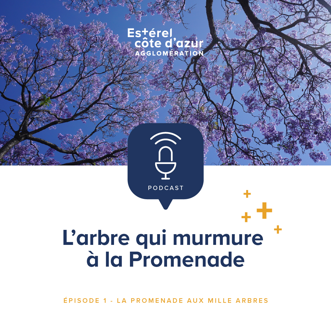 1-Podcast-de-l-agglo 1-Podcast-de-l-agglo