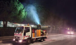 Traitement préventif contre la chenille processionnaire reporté !