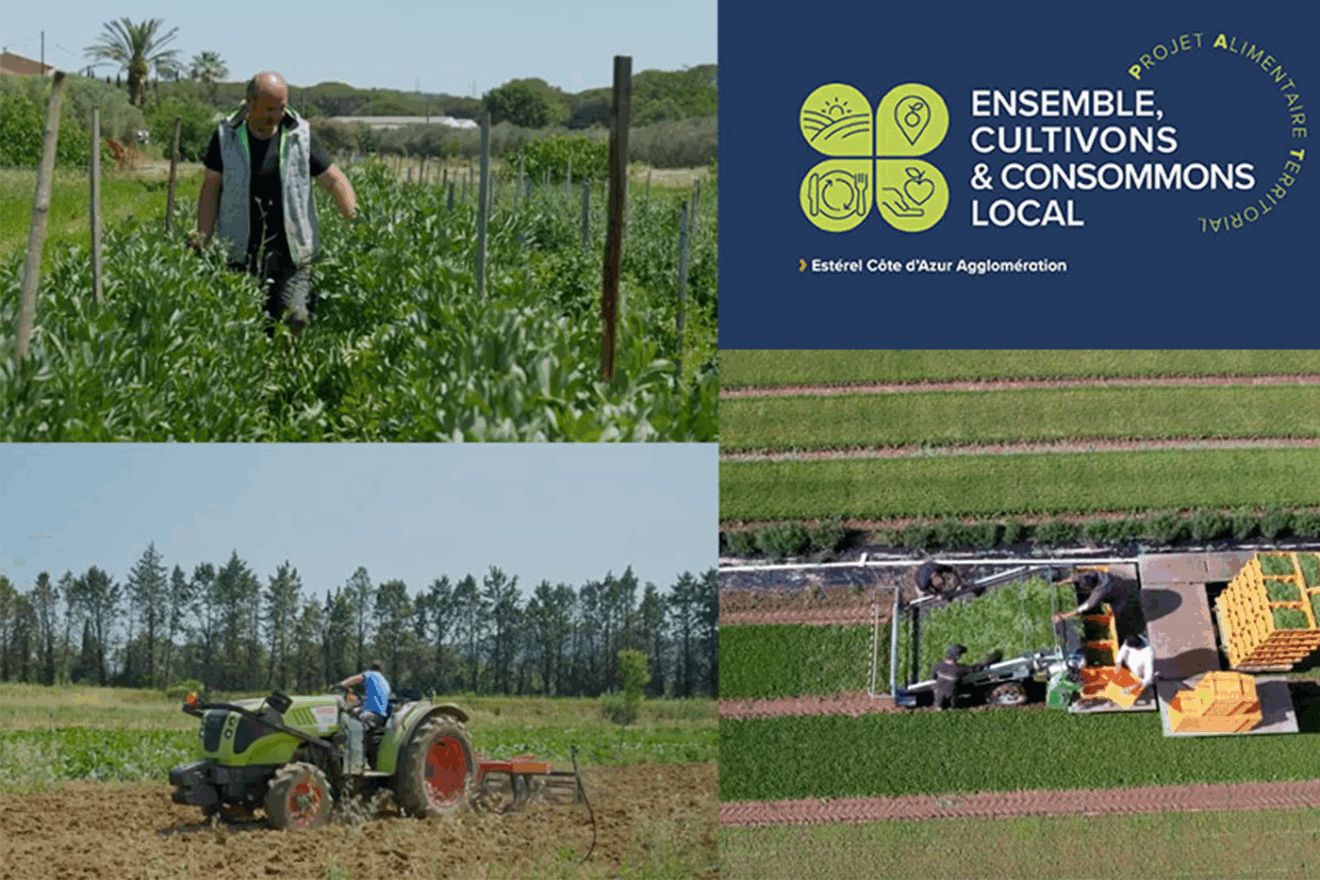 Projet Alimentaire Territorial : découvrez les acteurs locaux qui font vivre notre terroir !