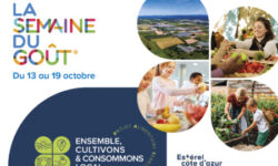 La Semaine du Goût du 13 au 19 octobre : découvrez les acteurs locaux qui font vivre notre terroir !