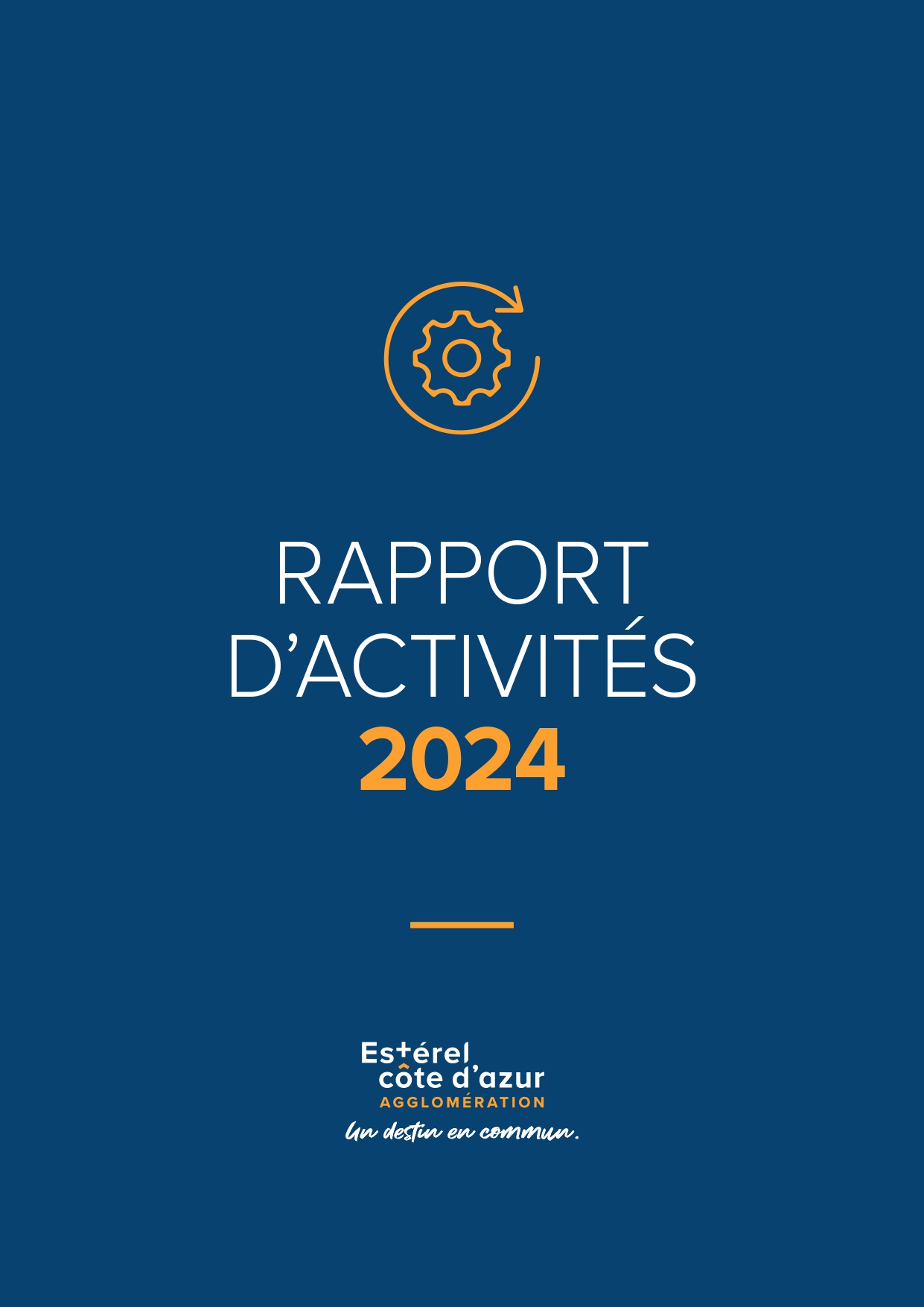 RAPPORT-ACTIVITE-2024-_page-0001
