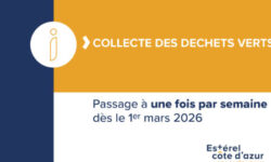 Collecte des déchets verts : passage à une fois par semaine dès le 1er mars 2026