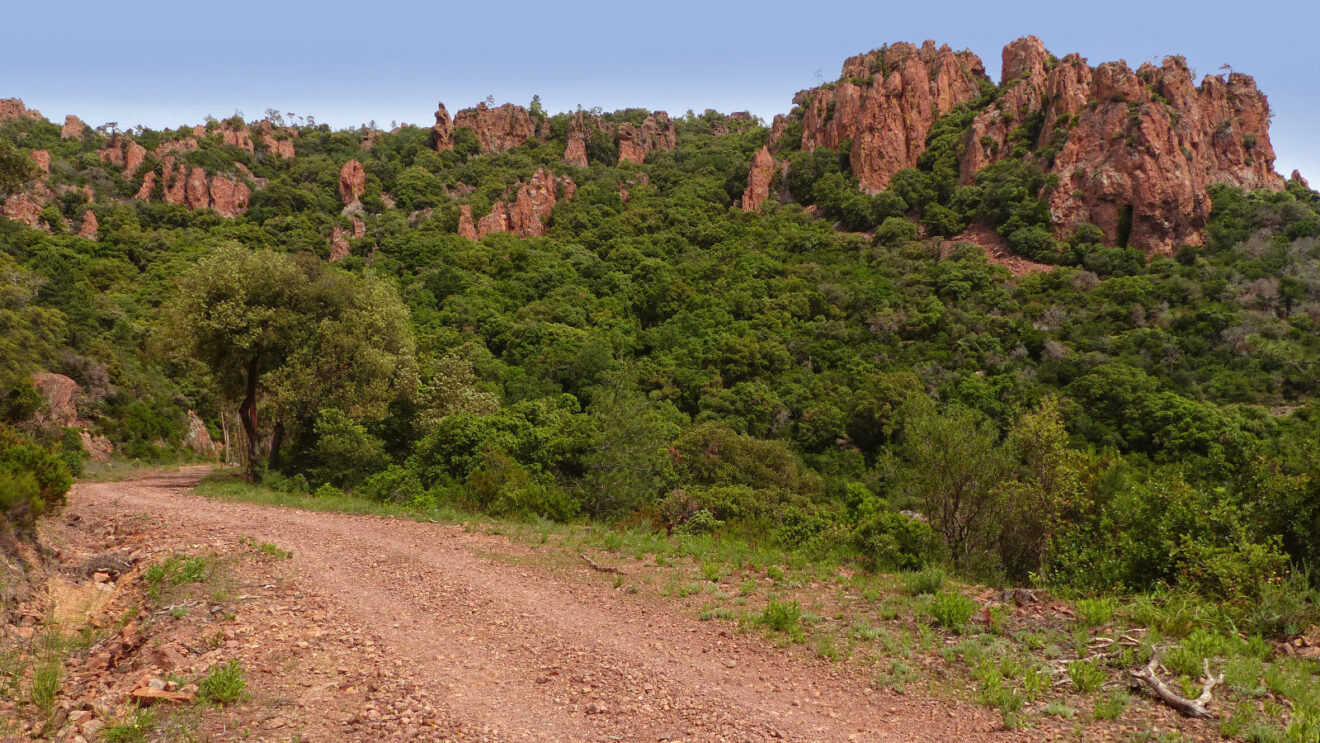Les navettes de l’Estérel sont de retour !
