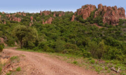 Les navettes de l’Estérel sont de retour !
