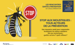 Rencontre santé et prévention du 28 avril 2026 : "Stop aux moustiques : tous acteurs de la prévention"