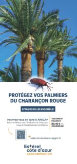 Dépliant Charancon-2026_Page_1