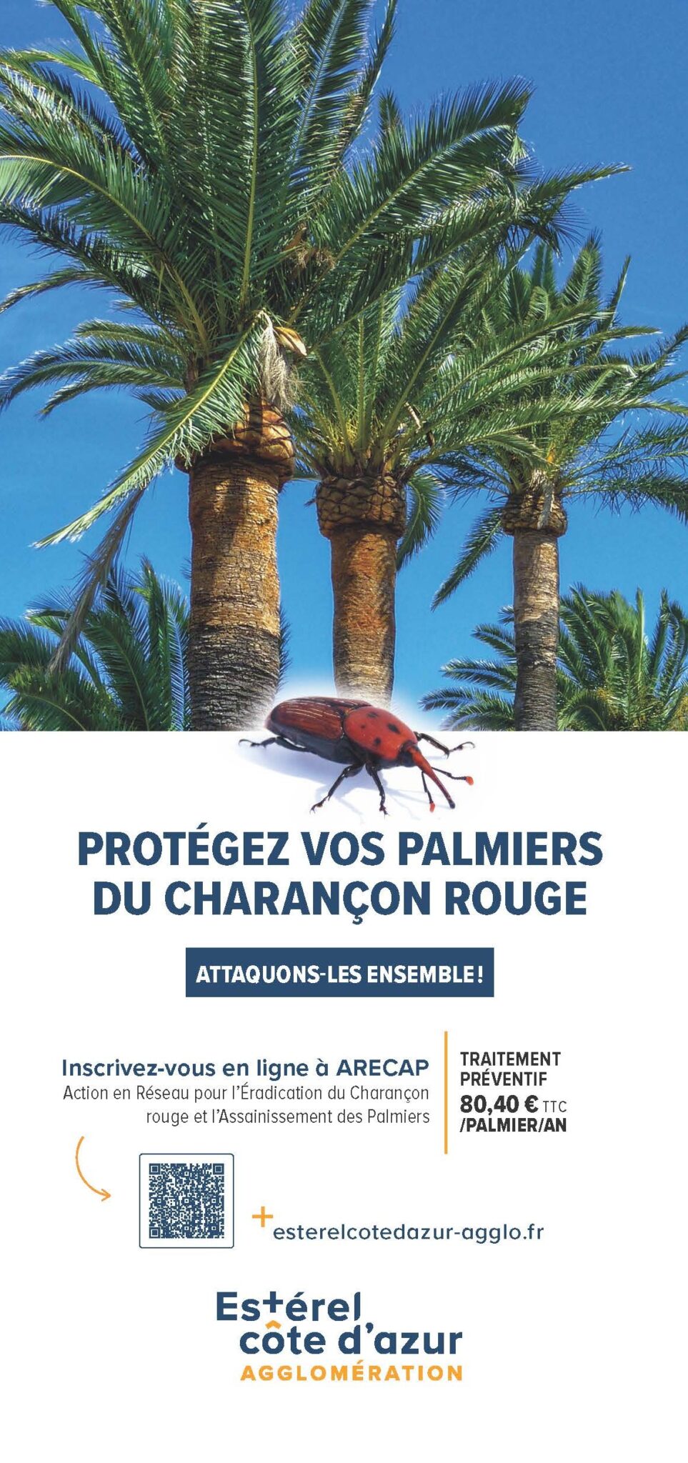 Couverture moustique tigre