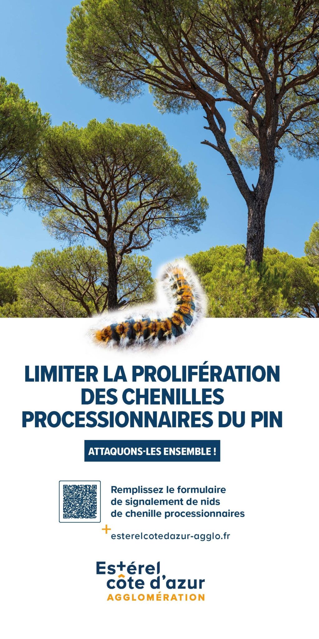 Couverture moustique tigre