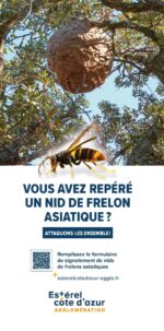 Dépliant Frelon-asiatique-2026-HD_Page_1