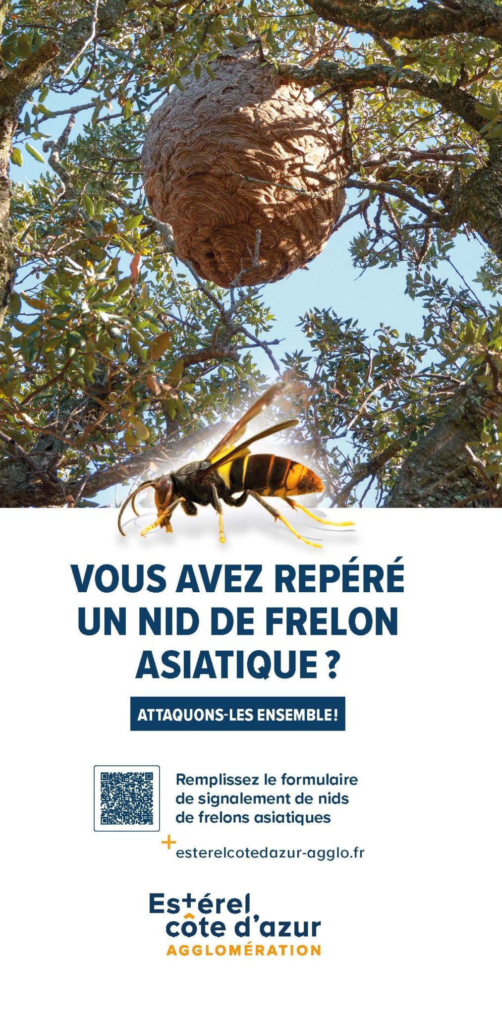 Couverture moustique tigre