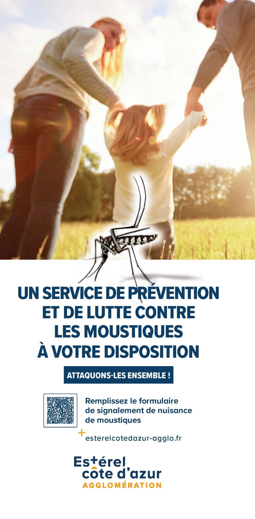Couverture moustique tigre