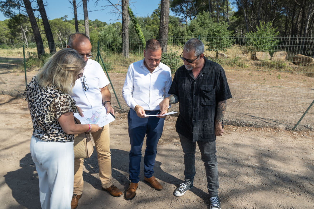 Capitou Nord : un secteur économique stratégique en pleine transformation