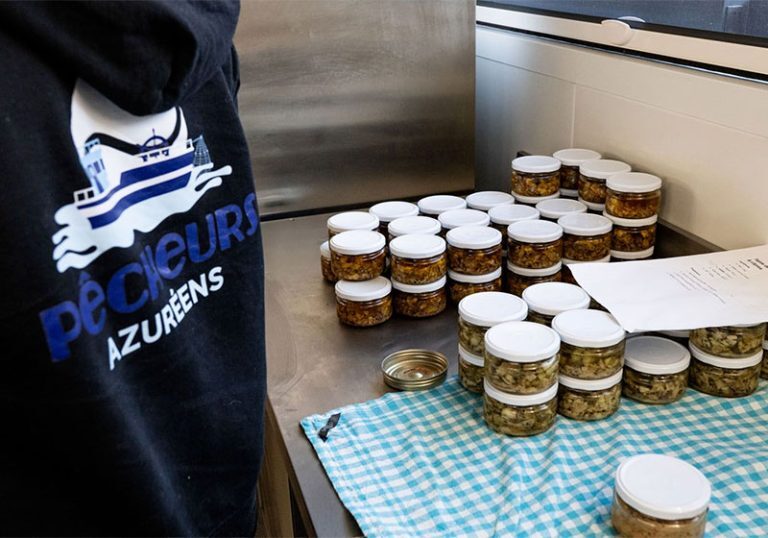 2025-12-14-Atelier-transformation-peche-768x538